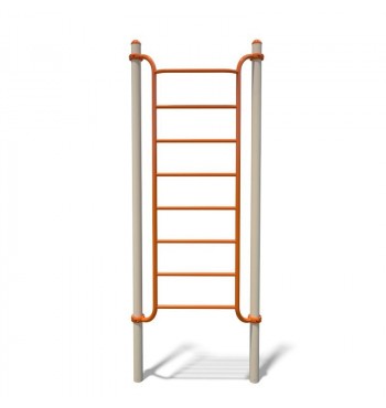 Gymnastics ladder S839.1